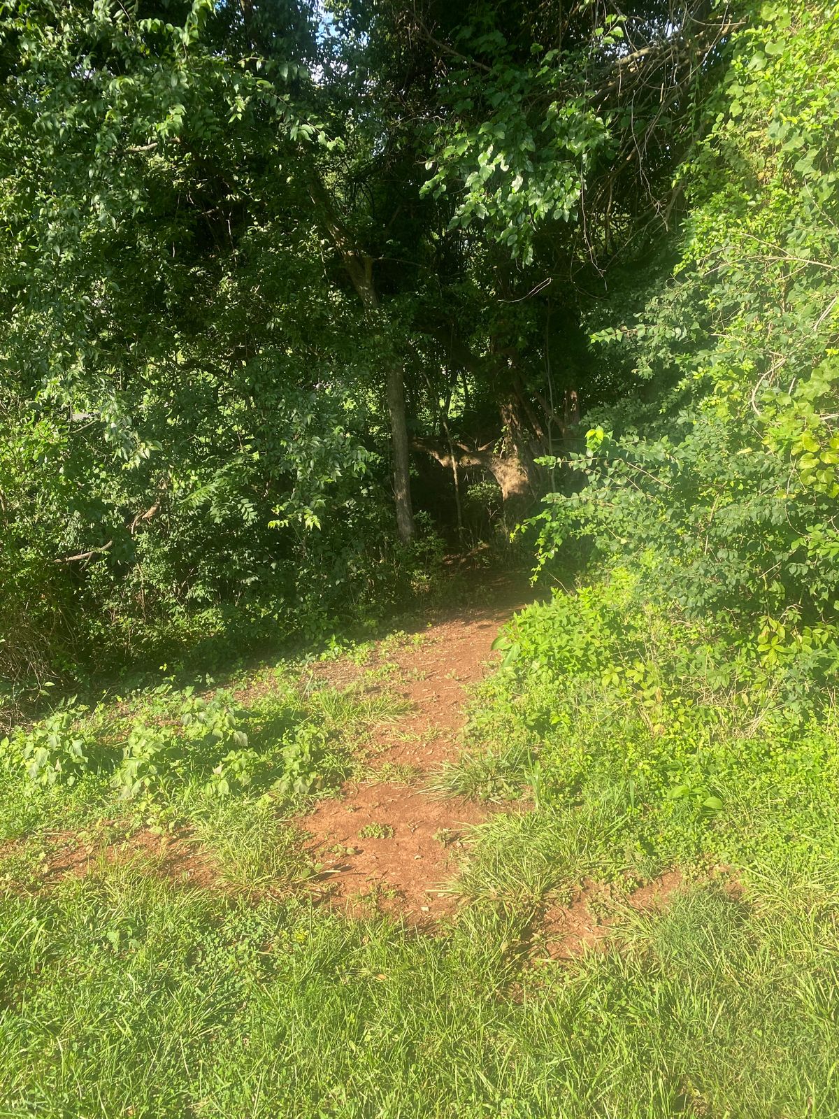 Walkway between hole 3-4