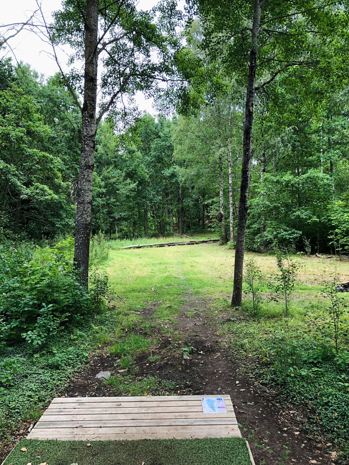 10a