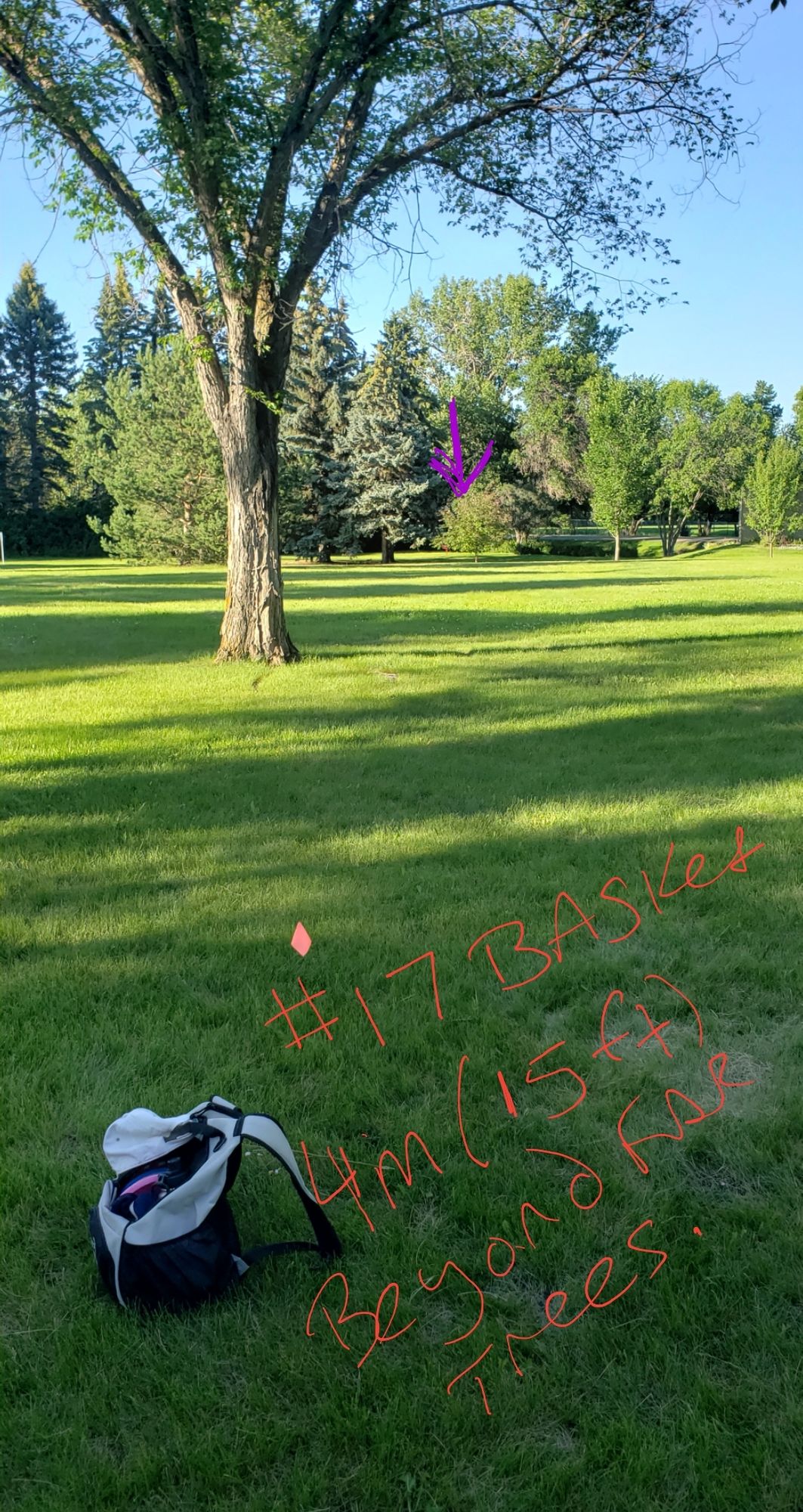 hole 17 tee box
