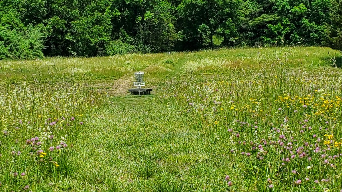 Hole 2