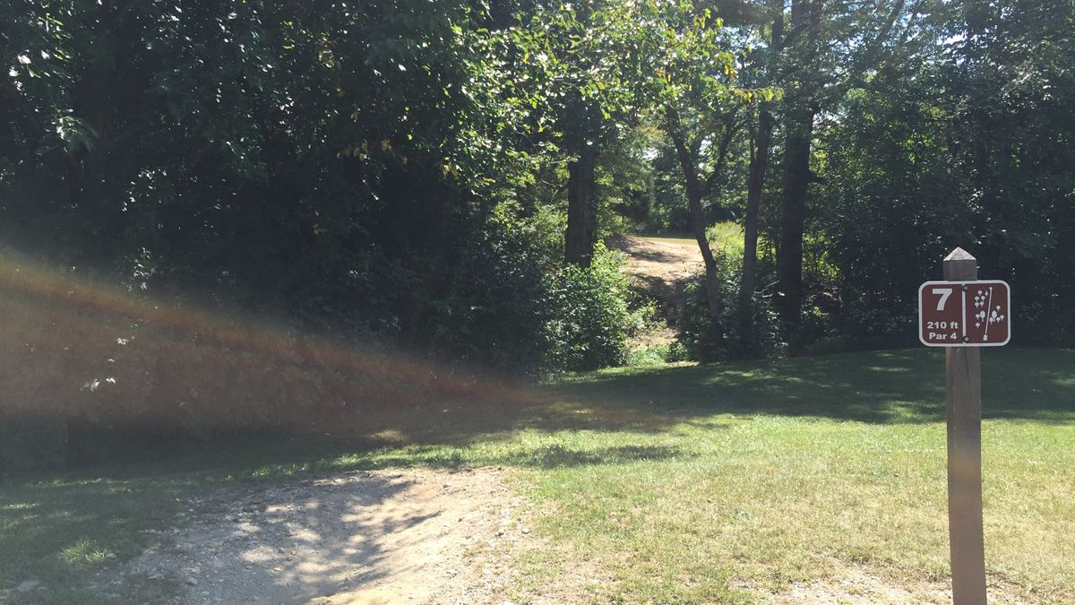 Hole 7