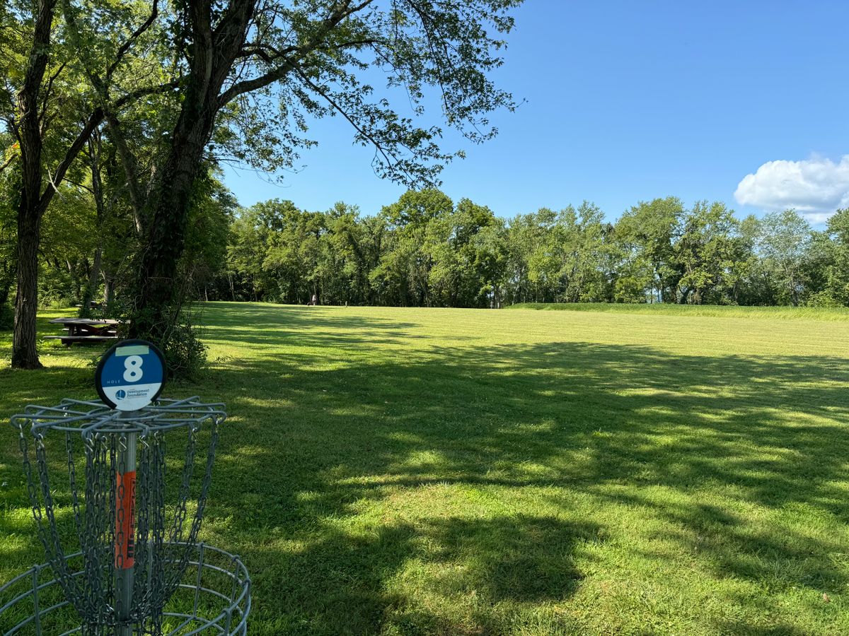 Hole 8 Basket to Tes