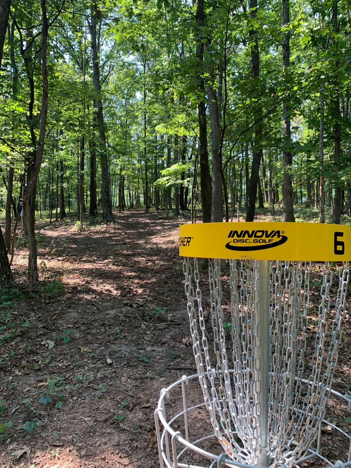 Basket #6 looking back towards the tee pads.