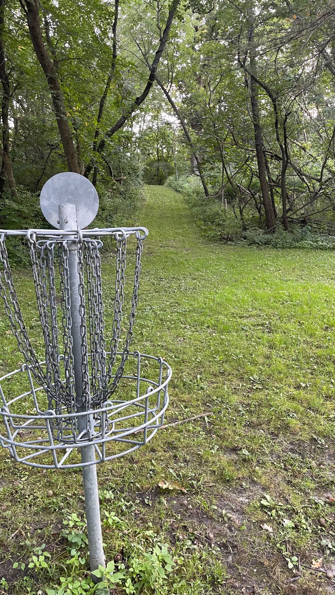 Hole 3 from behind the basket