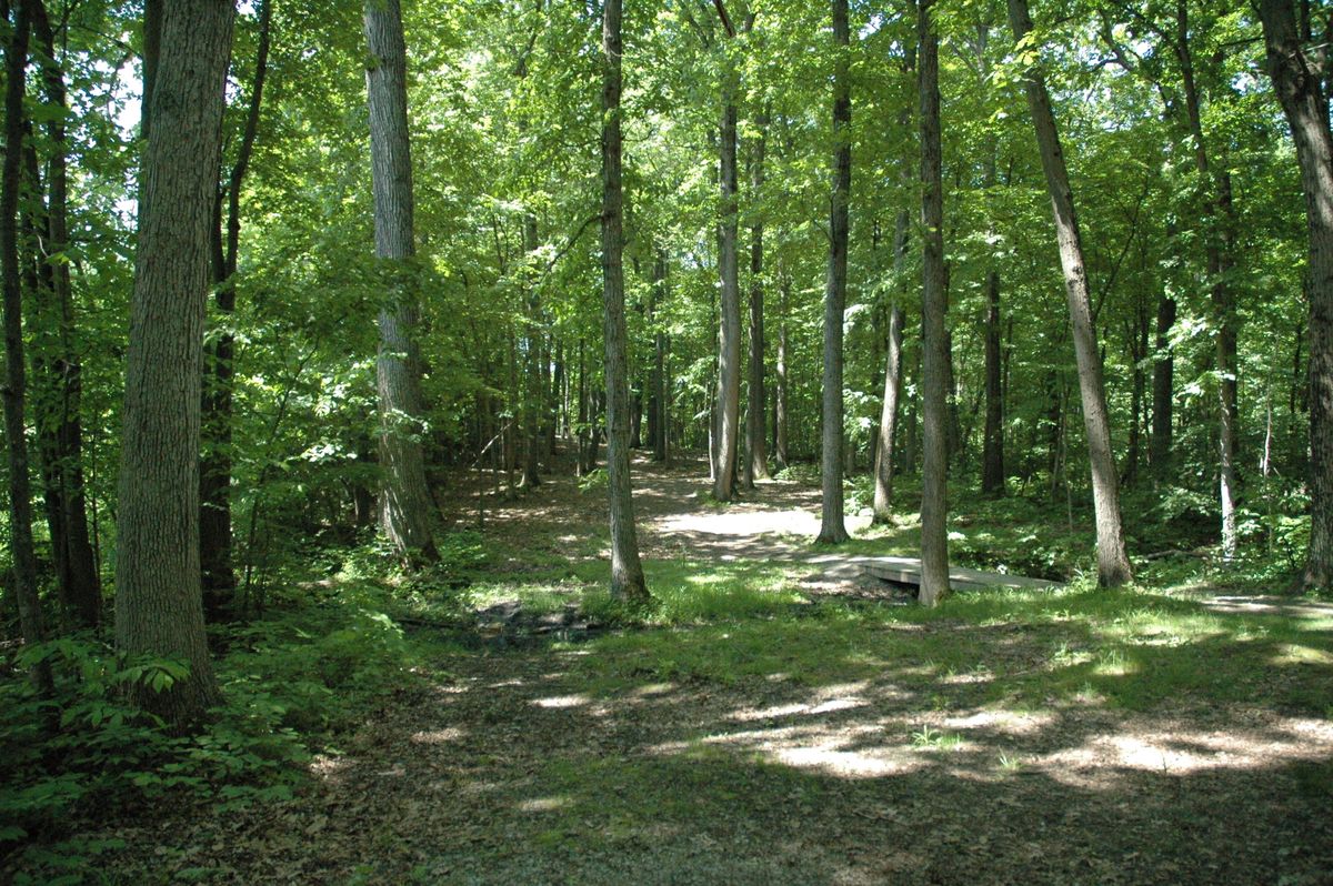 Hole 2 Amateur tee pad