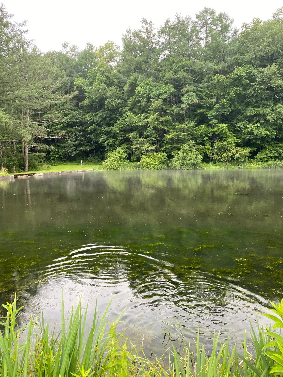 Lake showing tee off