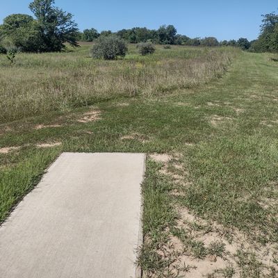 Hole 7 Tee. Basket behind bush.