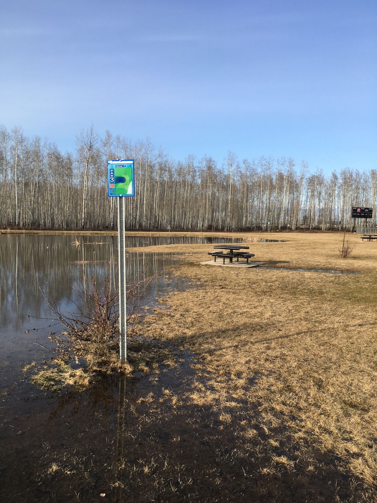 Tee pad #7 has seen better days