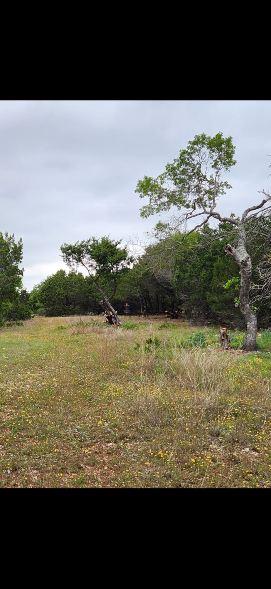 Hole 11