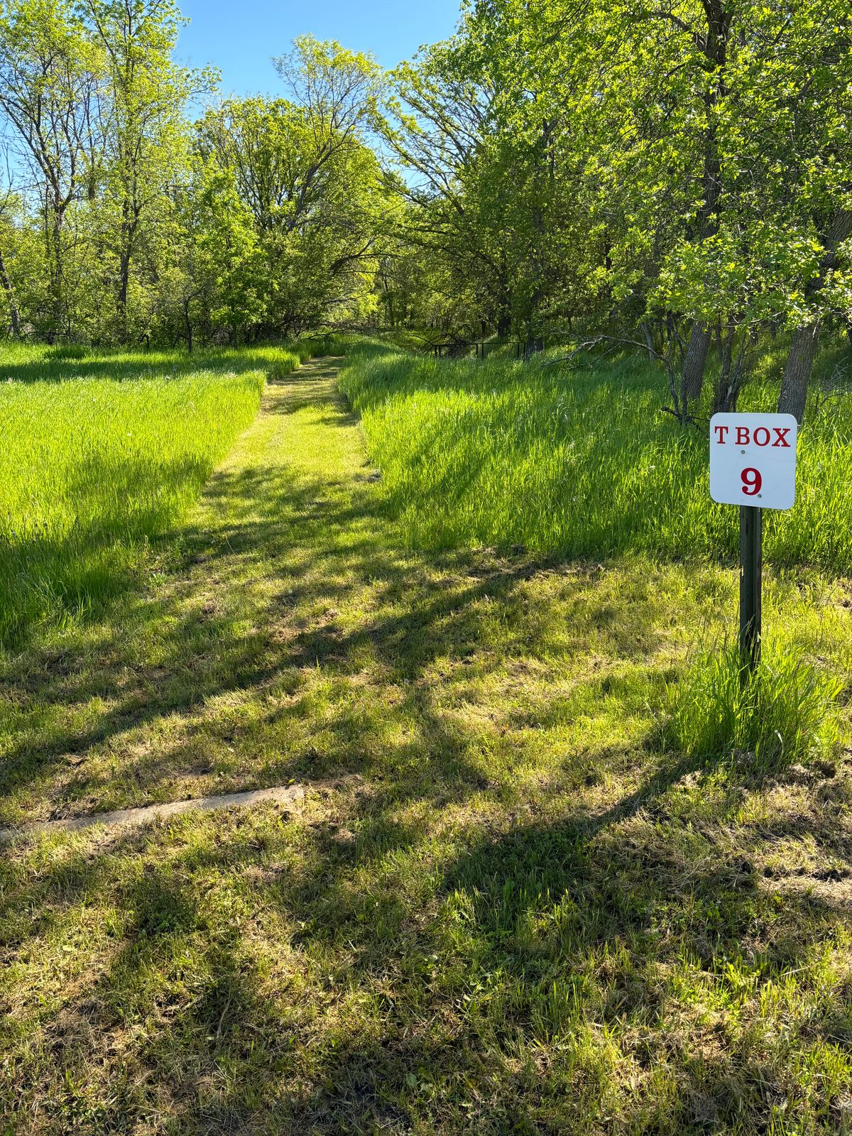 Fairway of nine Some trees need to be removed.