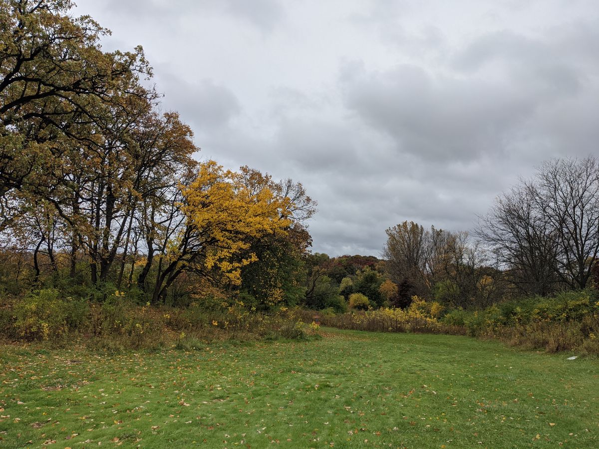 Looking down to the pin at #8.