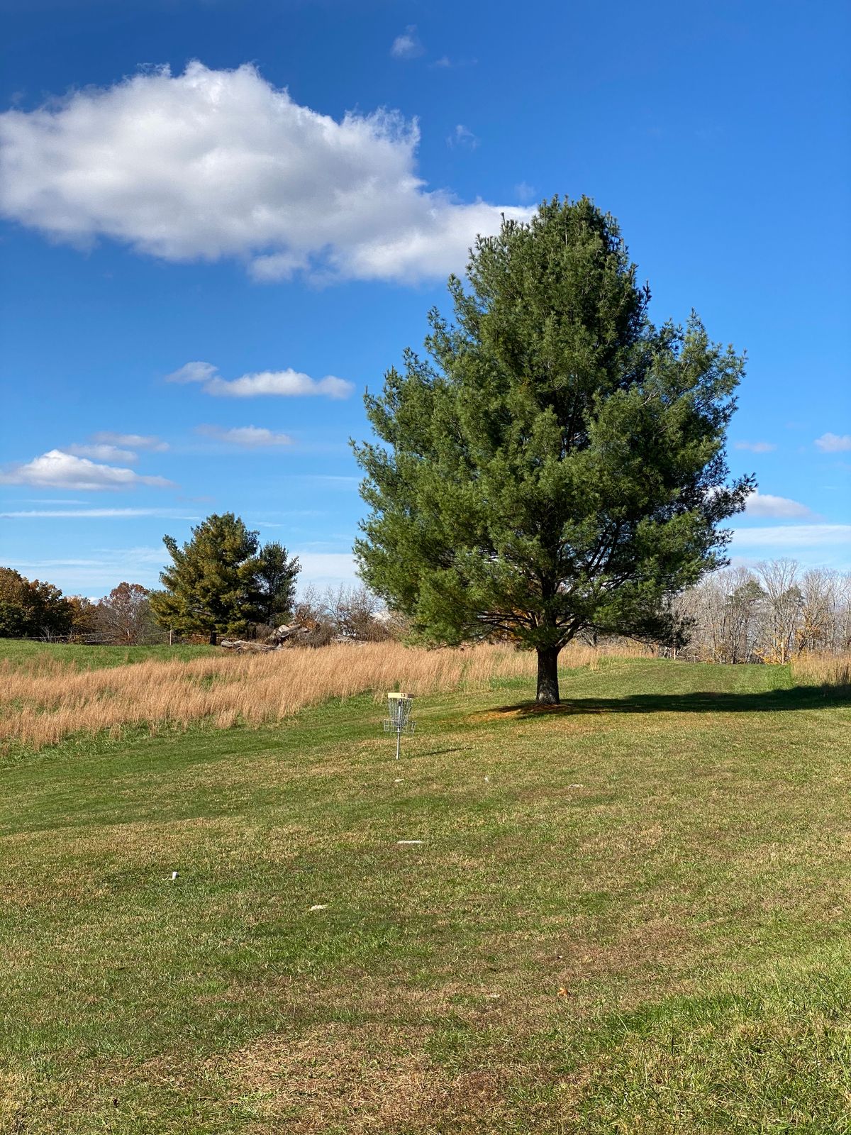 Hole 10