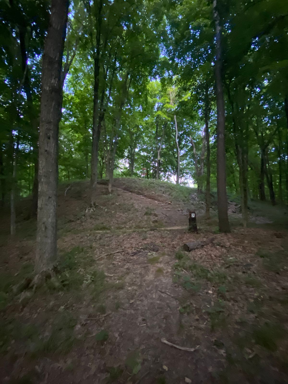 Hole 10 basket