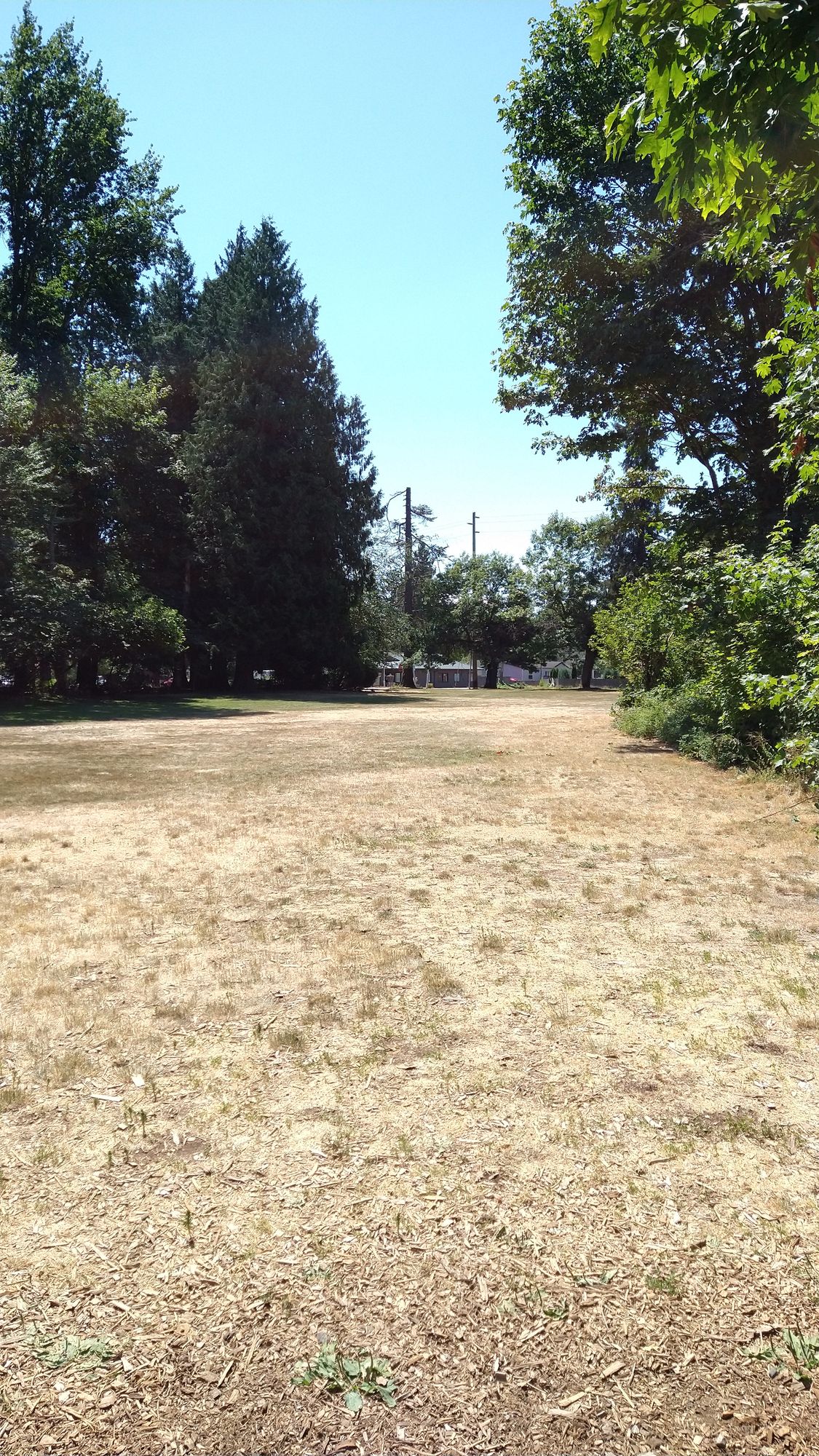 Here's the only out-in-the-open drive. The trees on the right force you to work on executing a good, straight bh release.