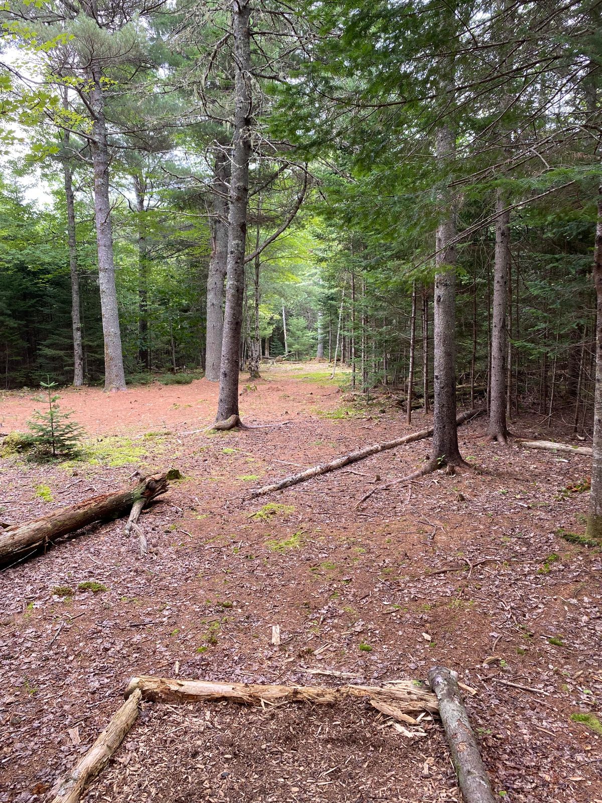 Hole 8