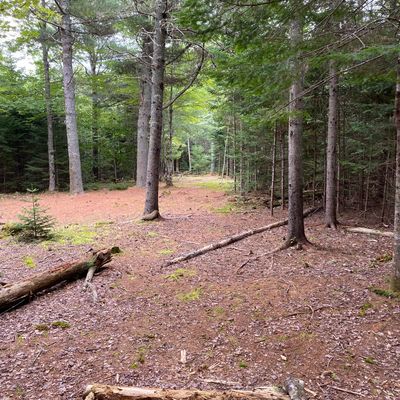 Hole 8