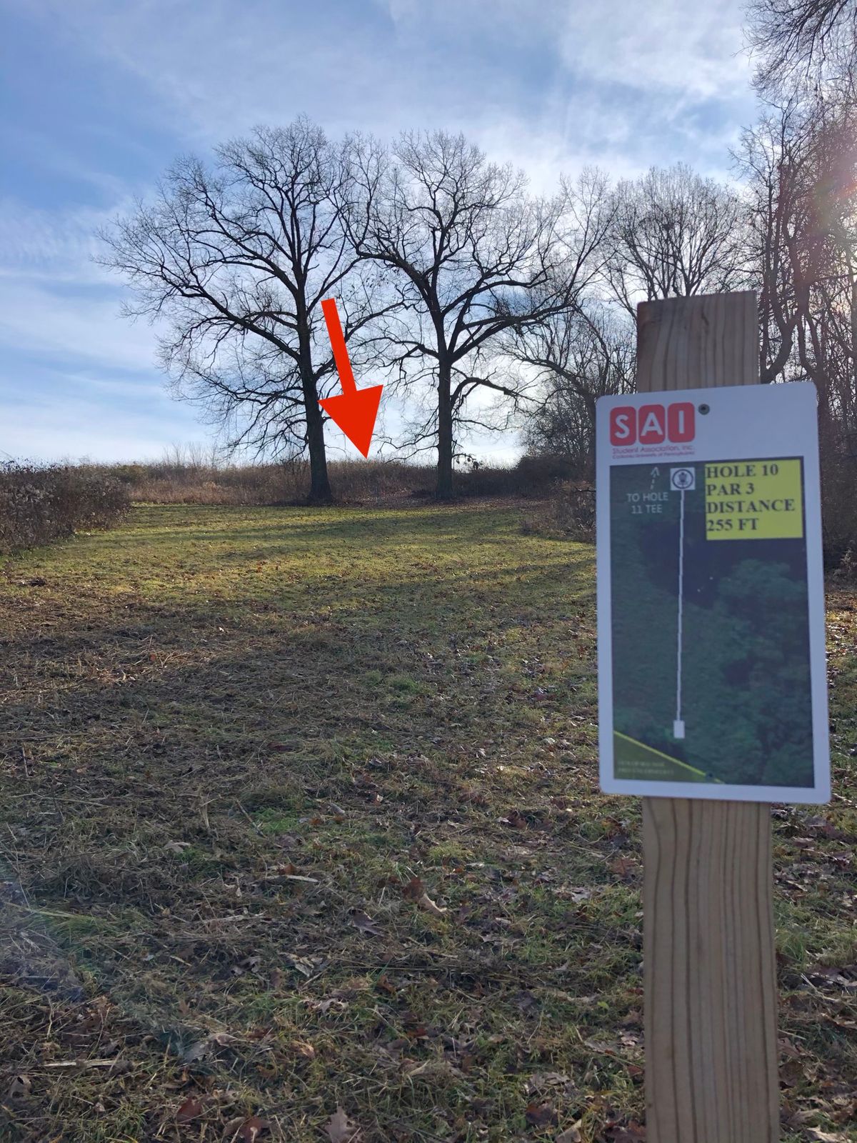Hole 10 tee