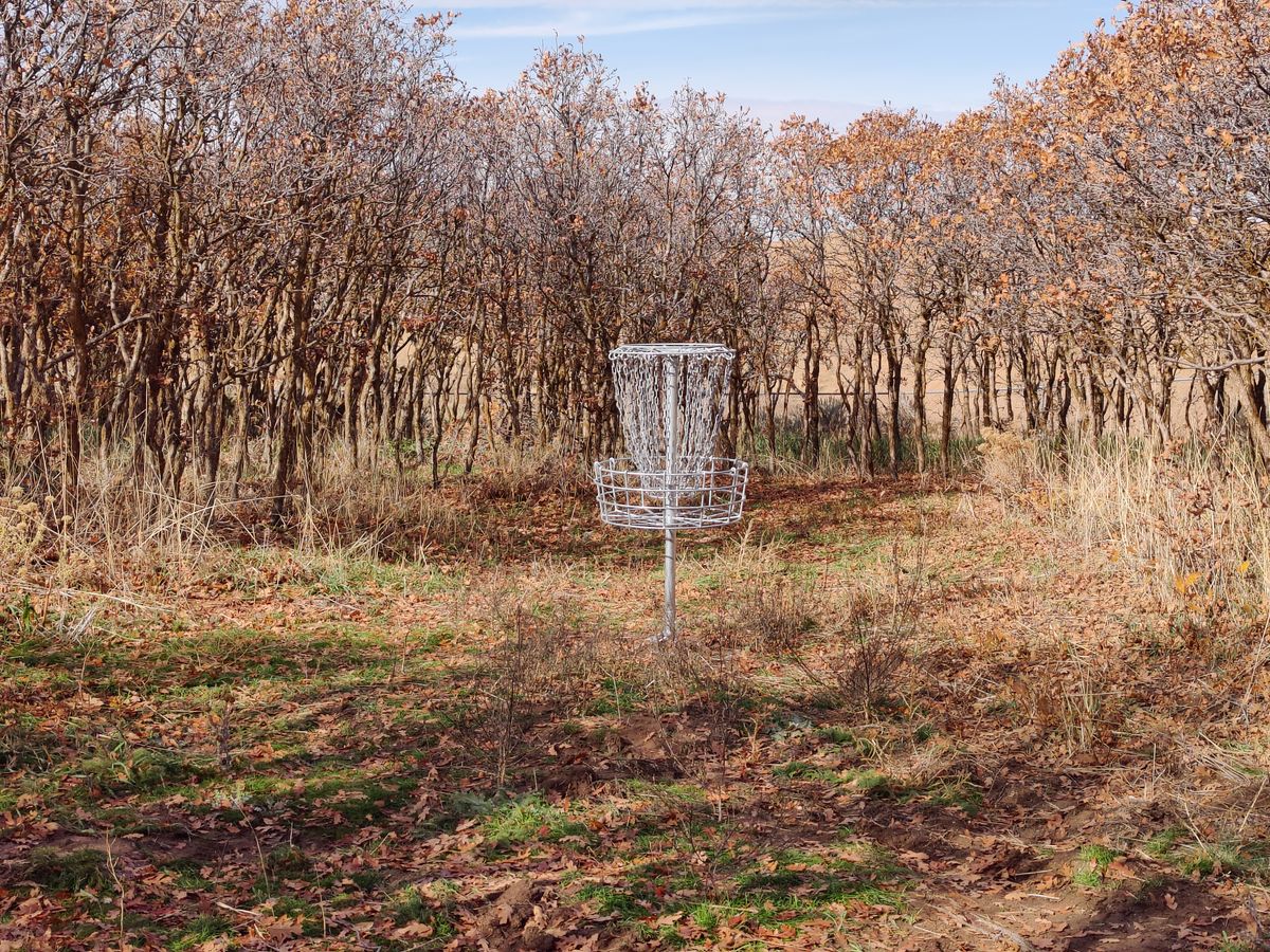 Hole #6 basket