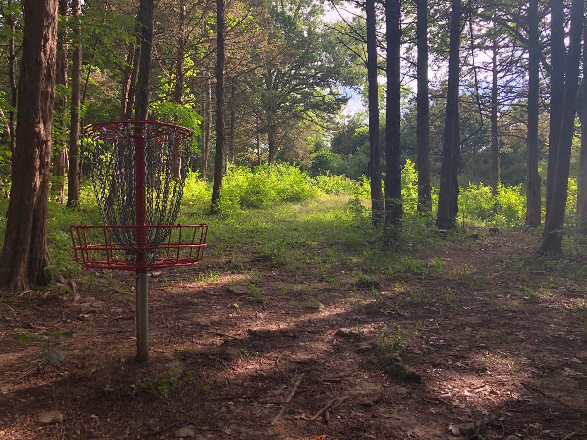 Hole 13 Green