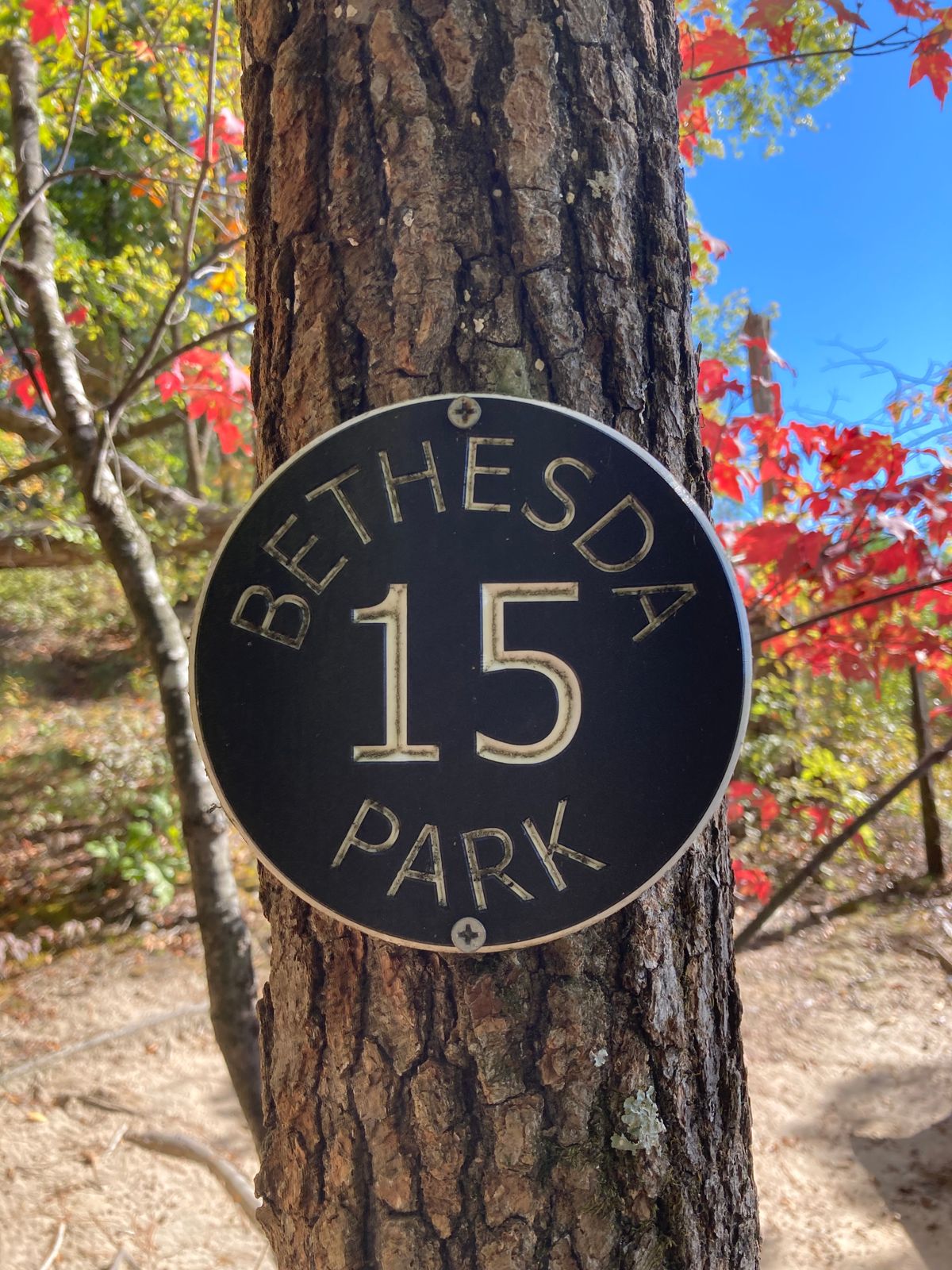 Hole 15