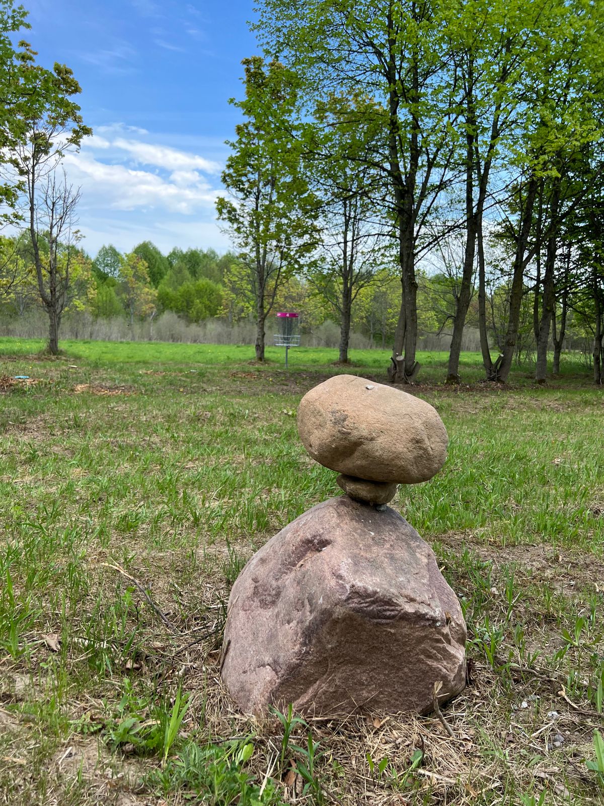 Short basket, hole 4, turn left at the rock pile.