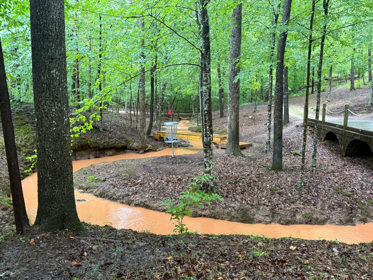 Hole 7 green (looking back up fairway)