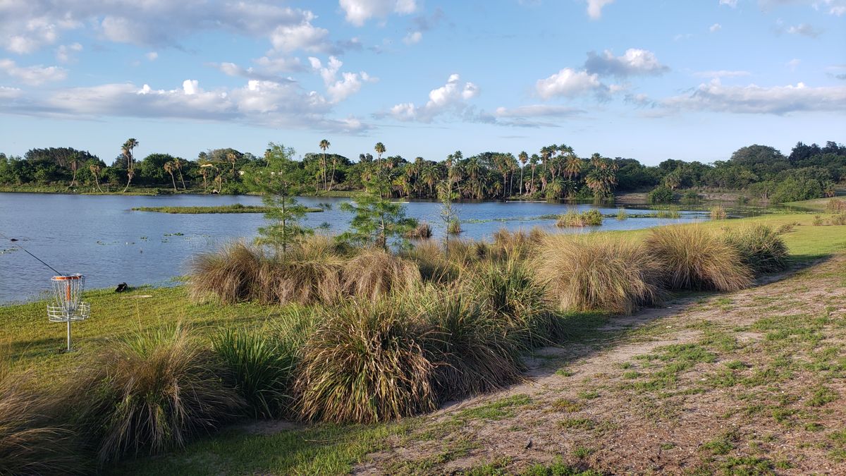 Hole 18 - hidden in the bushes