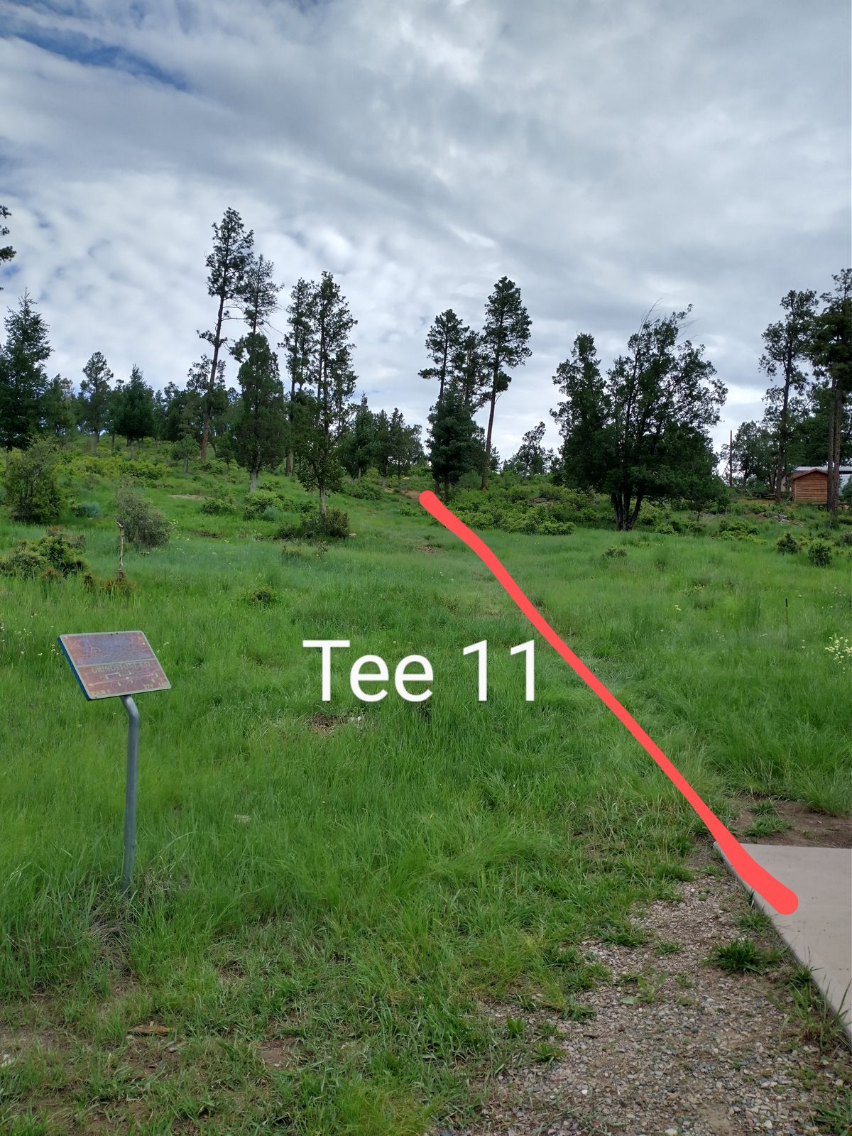 Tee 11, up the hill