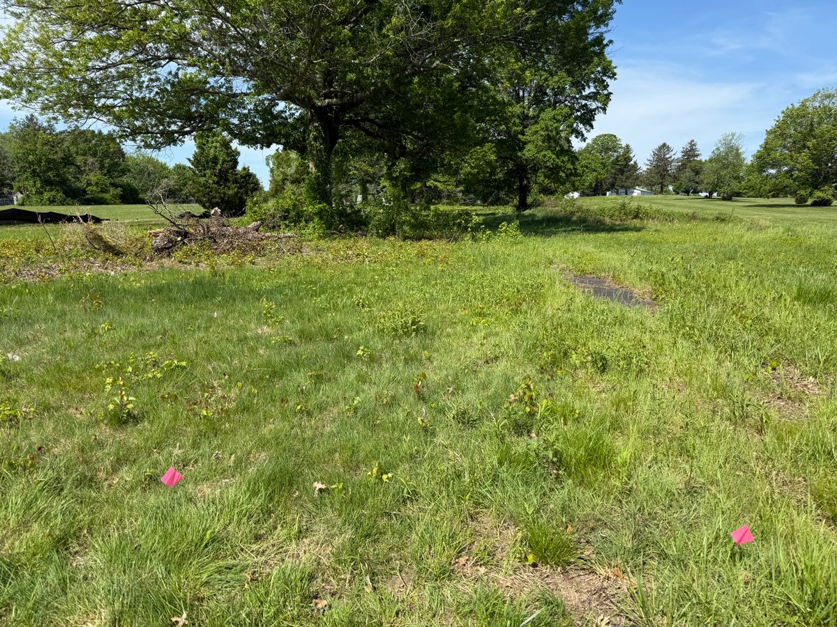 Hole 4 teepad and “fairway” are completely overgrown. Lots of poison ivy.
