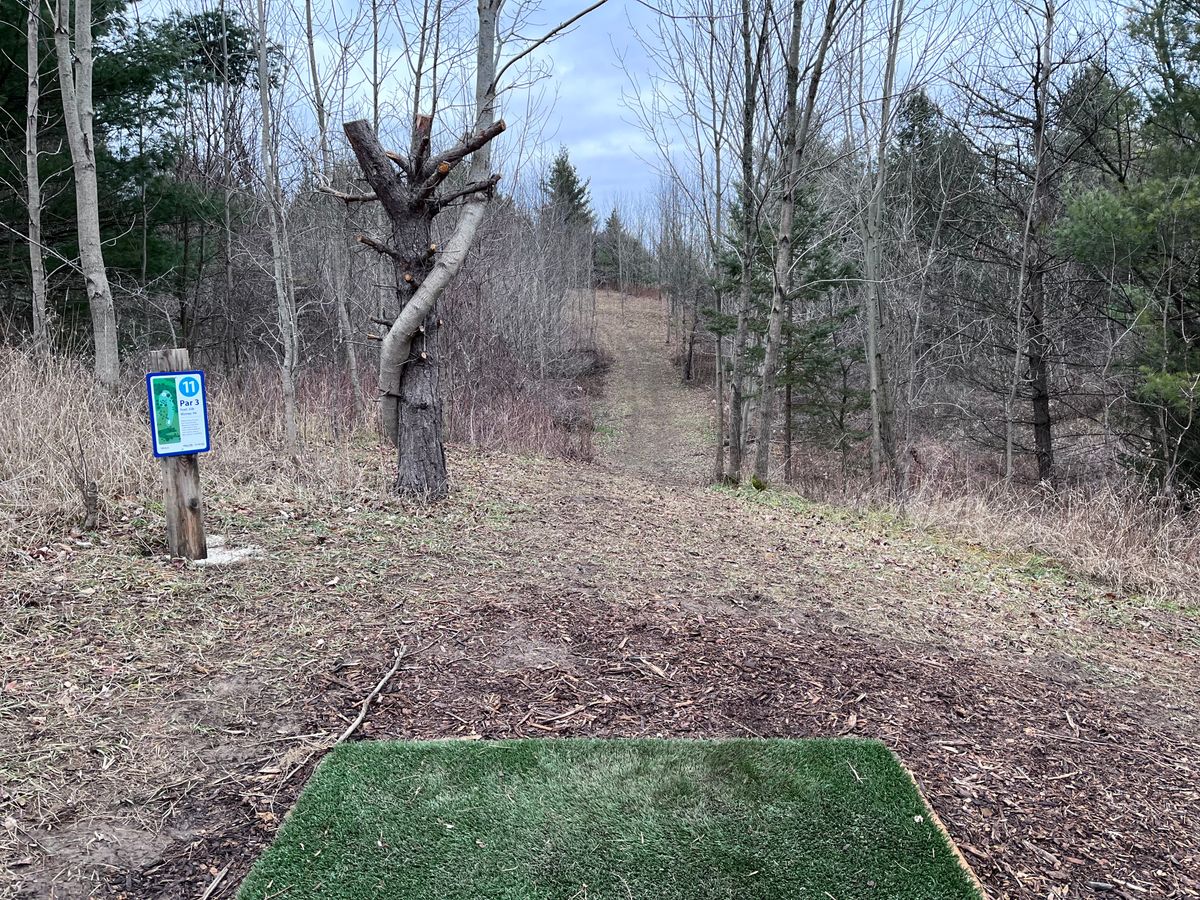 Hole 11 tee shot. Basket location across the valley and around to the left