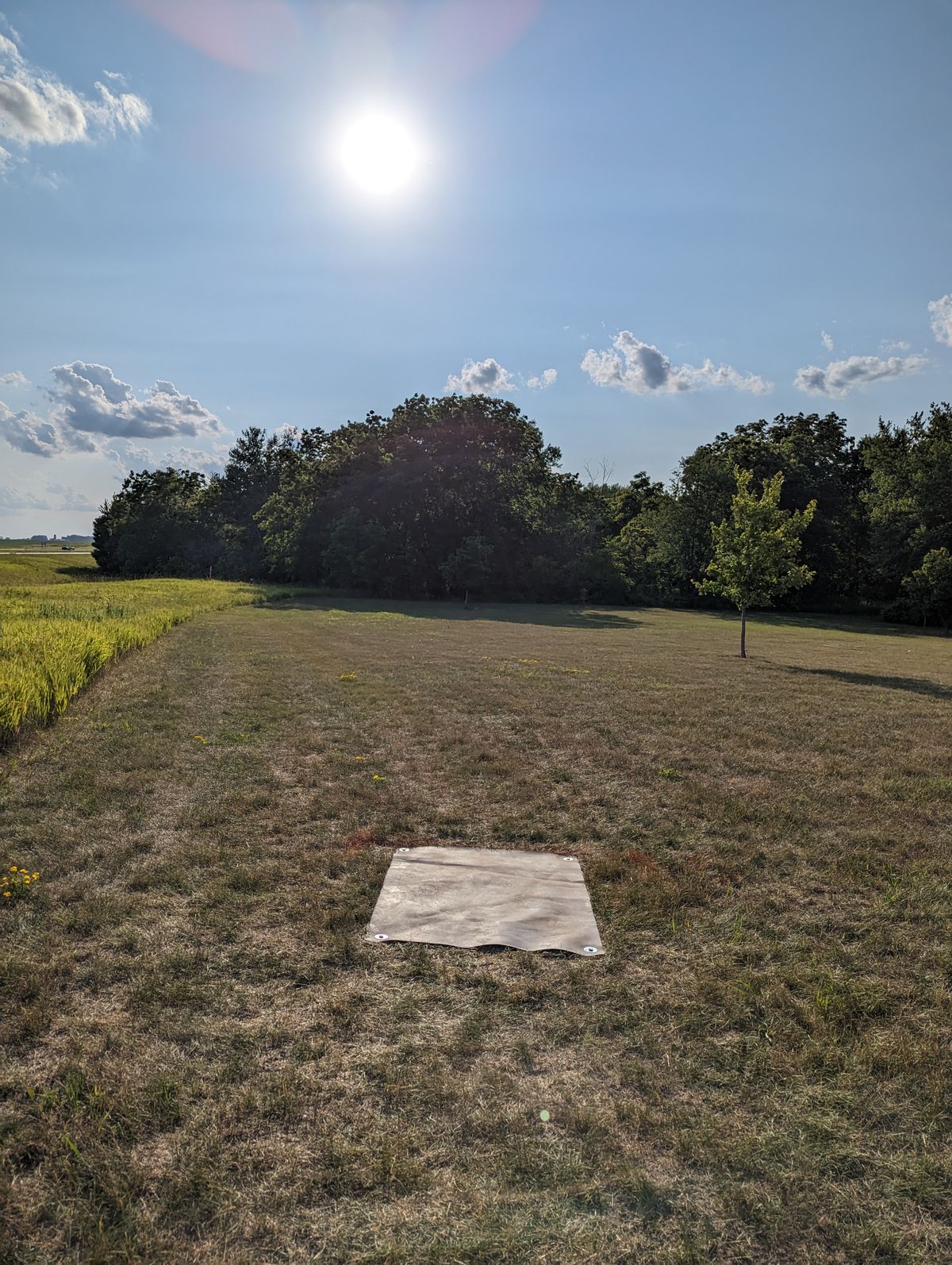 Hole 6 Teepad