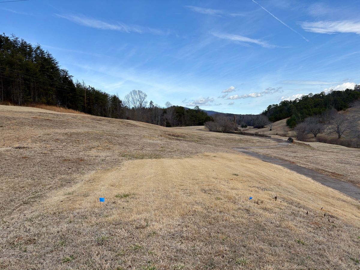 Hole 6 Blue Tee