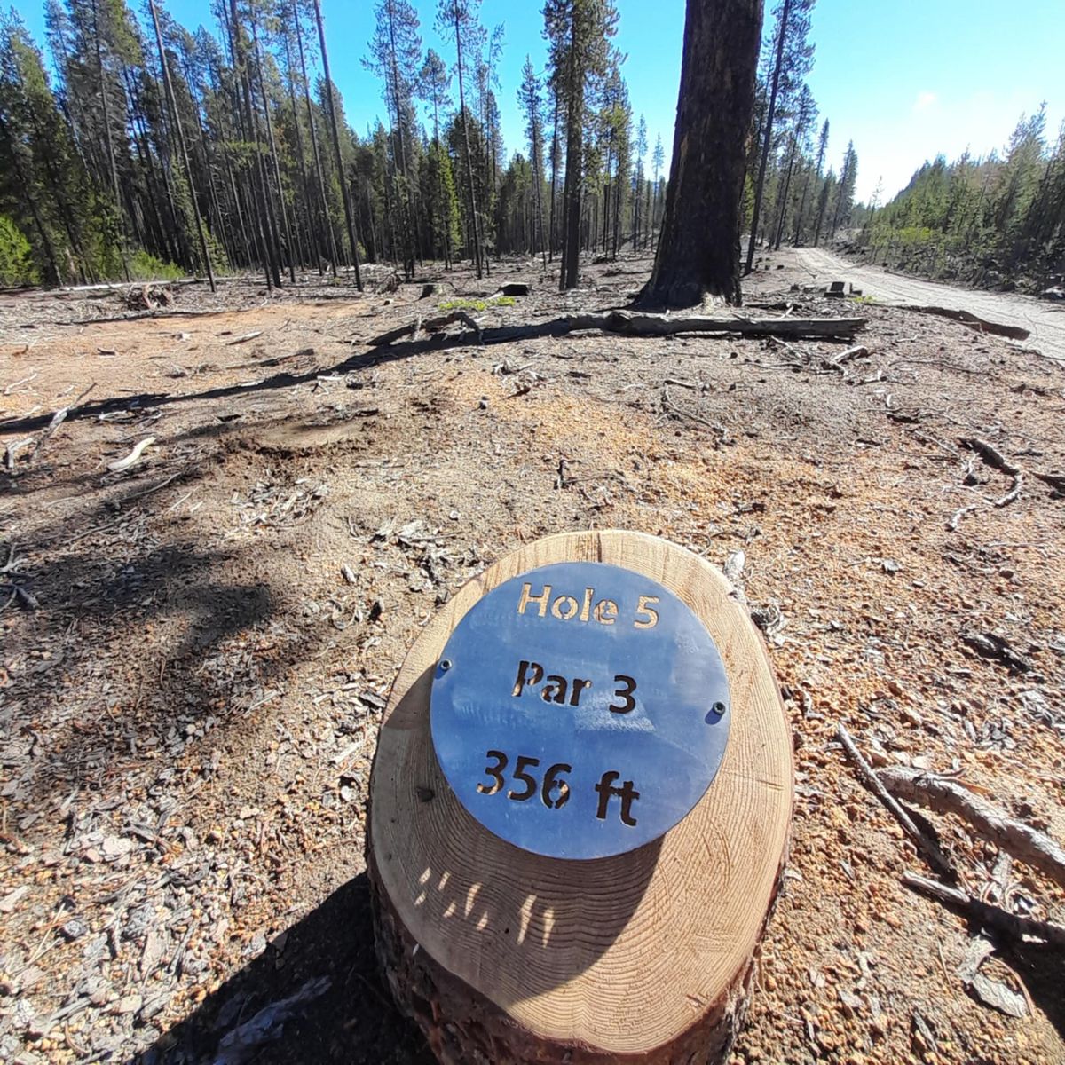 Hole 5