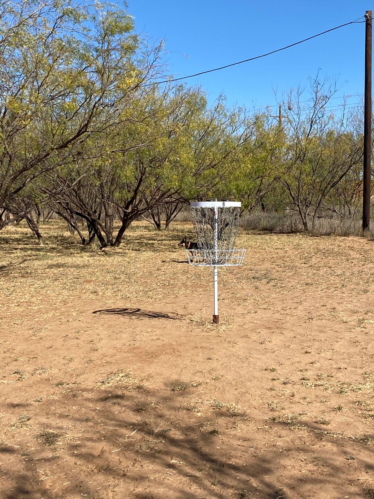 Basket 8 right of fairway.
