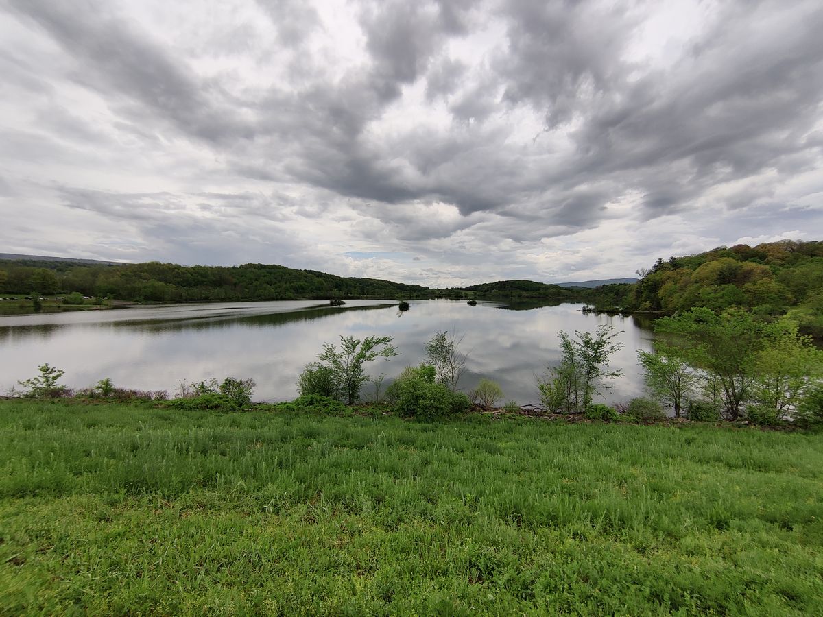 Lake view