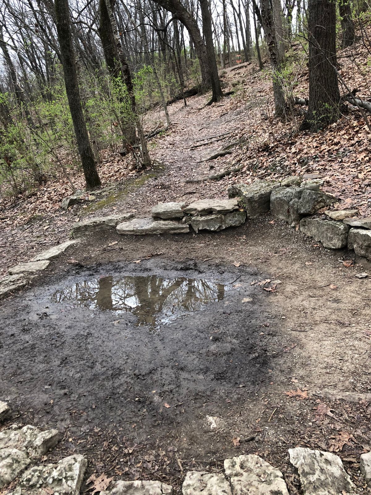 Basically every tee pad when the course is 98% dry