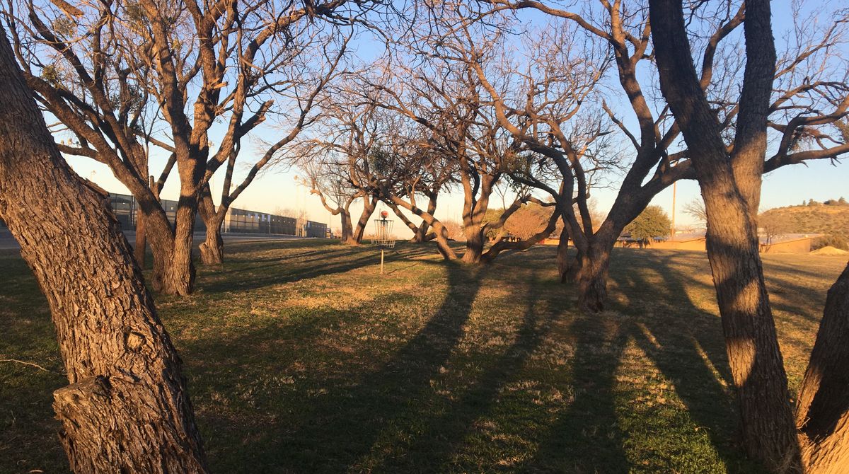 Hole 18 basket