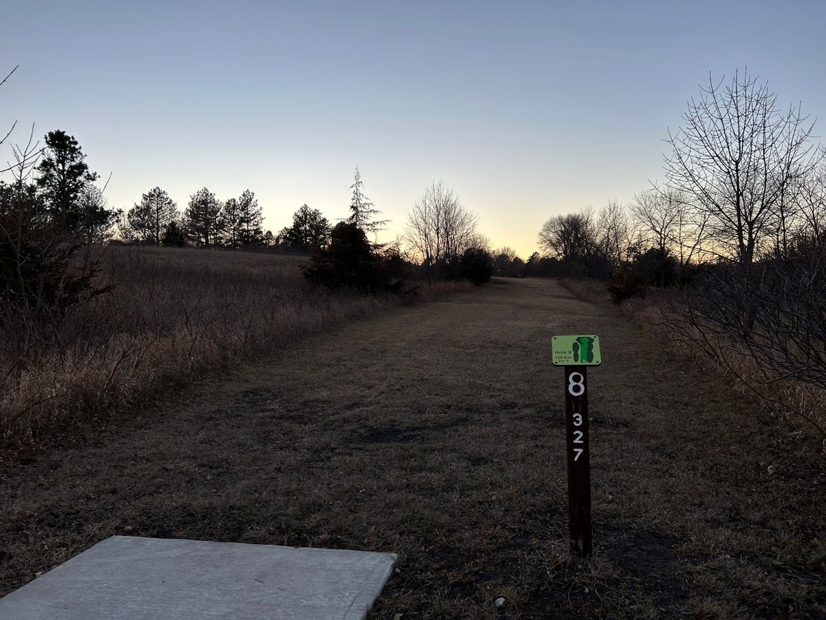Nice use of elevation on hole 8