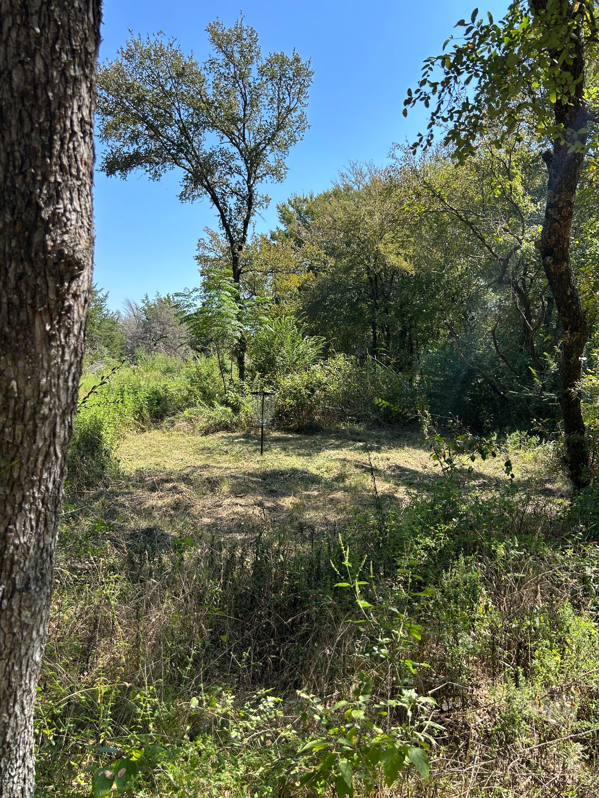 Hole 3s island hole