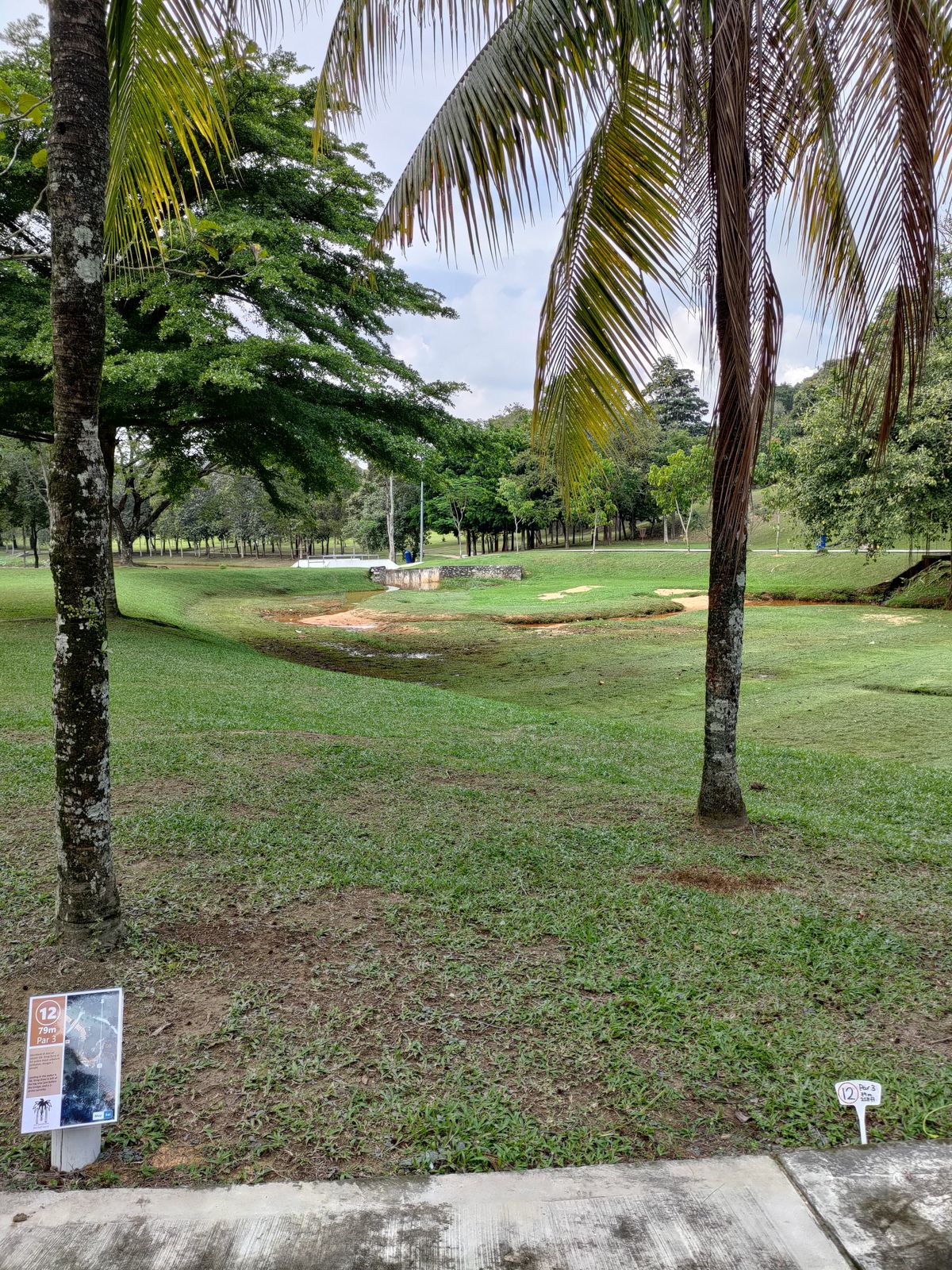 Hole 12 teepad