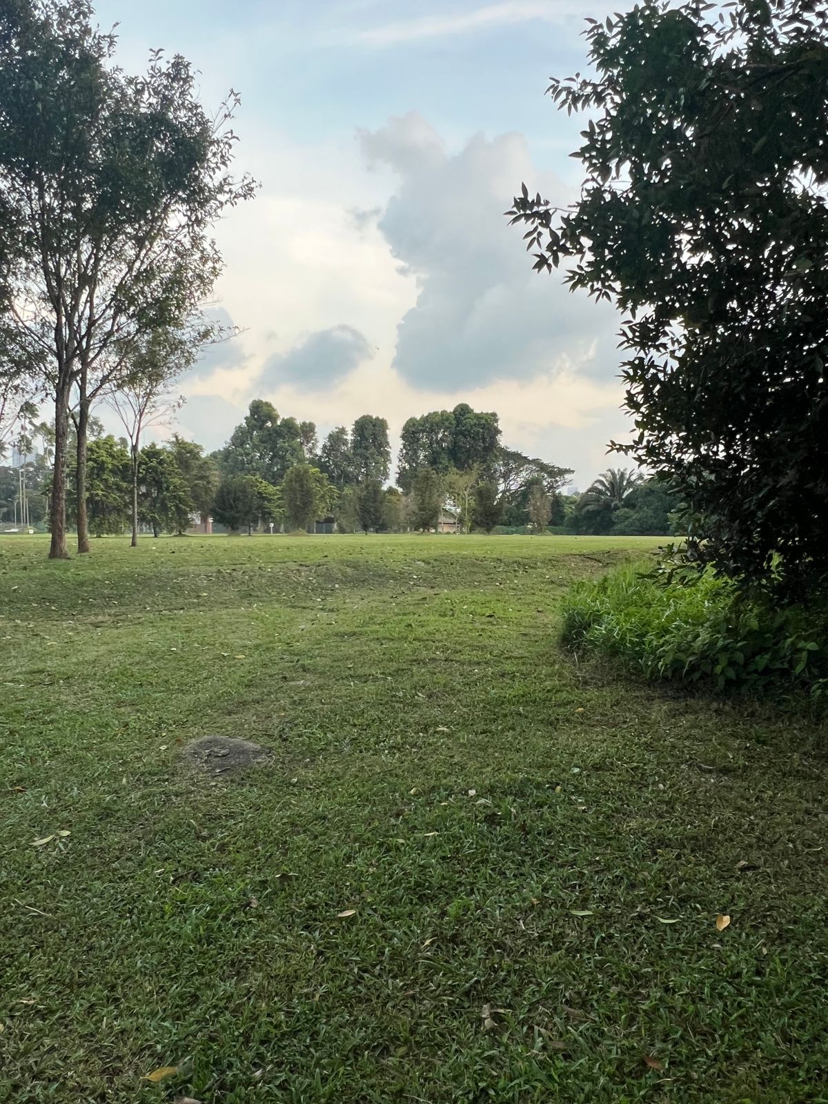 Hole 18 Tee area. Immediate dogleg right