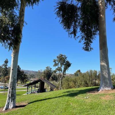 Hole 9 double mando with target tree in background at bottom of hill.