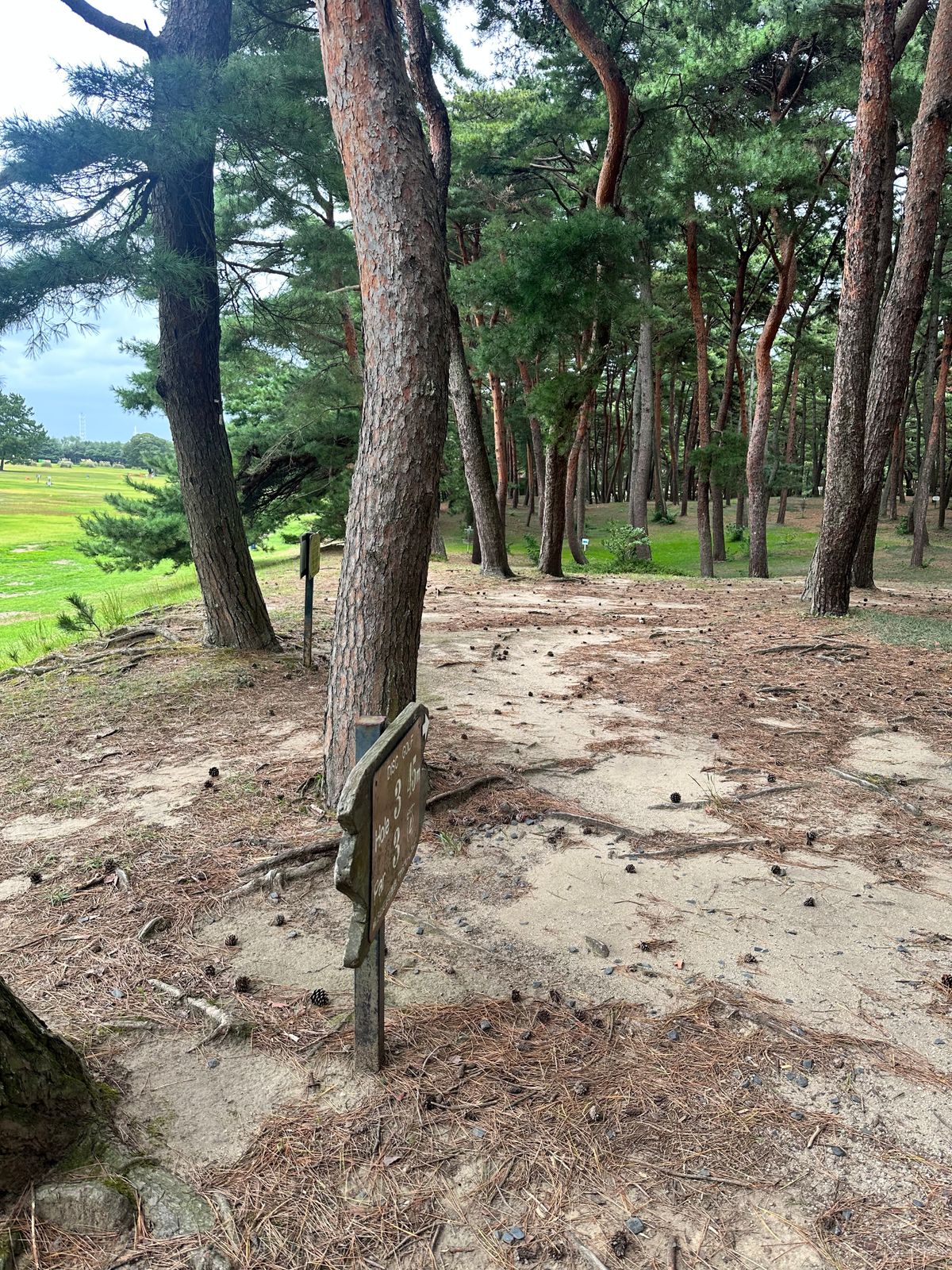 Hole 3