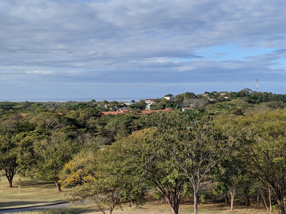 View from basket 8