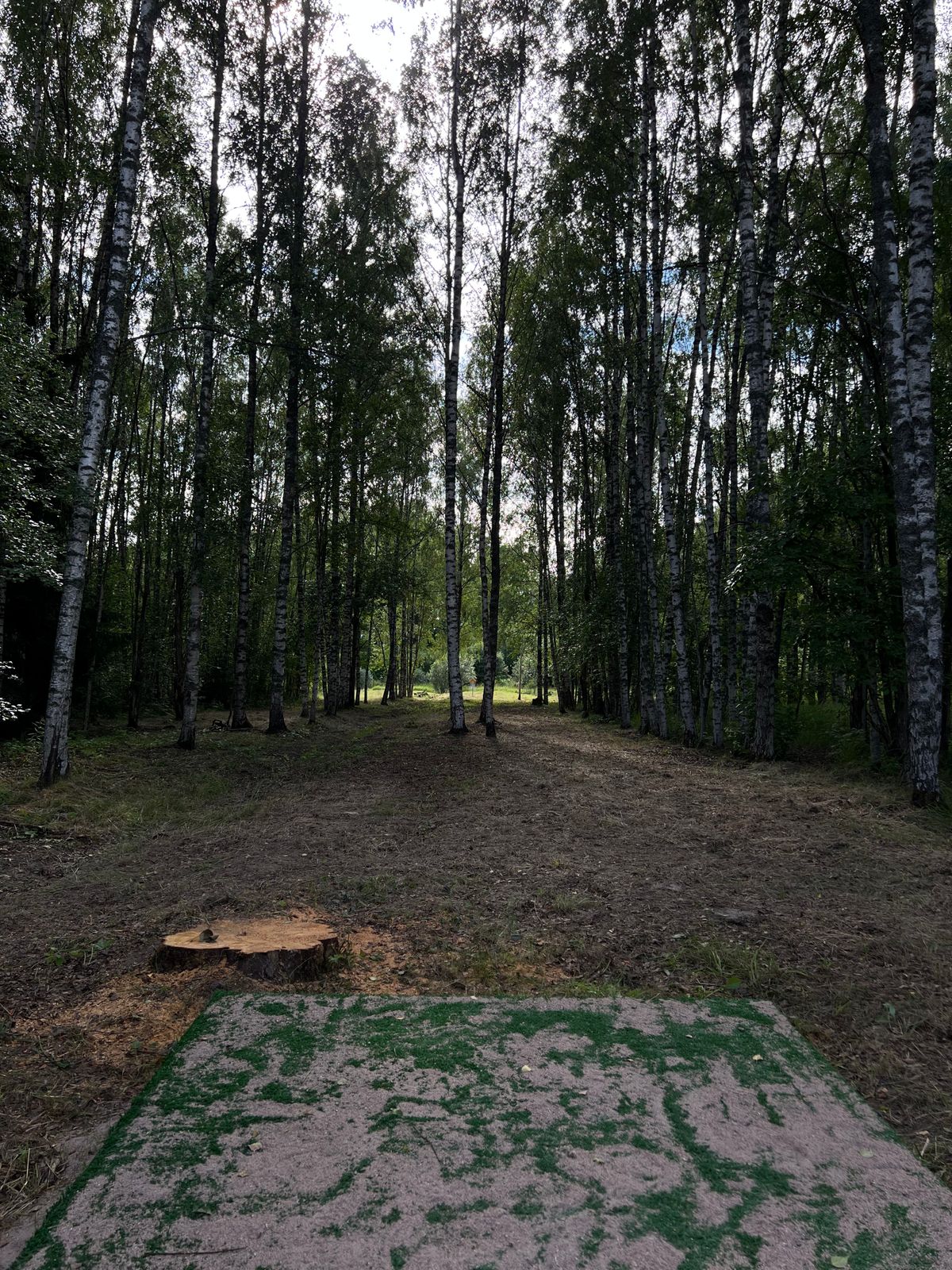 Väylä 5