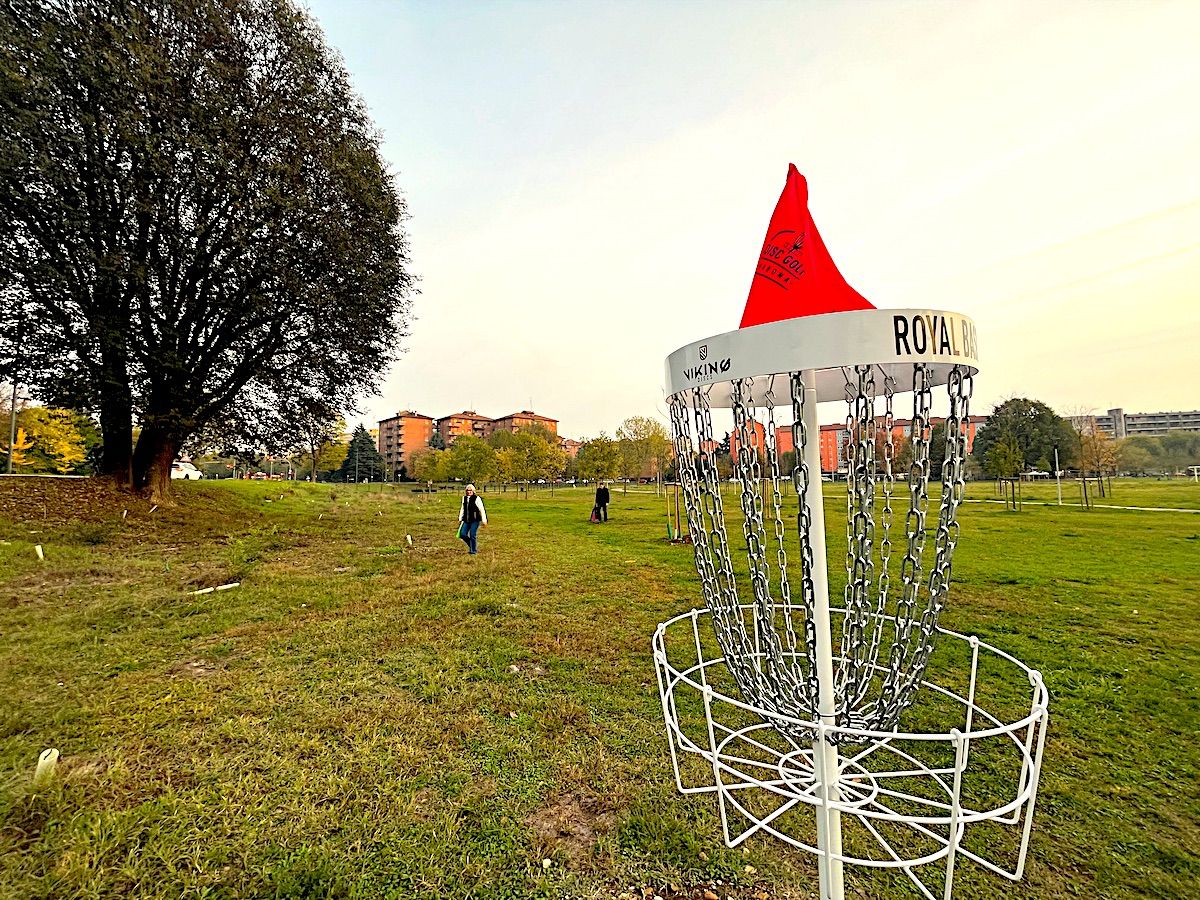 Hole 4 Dogs