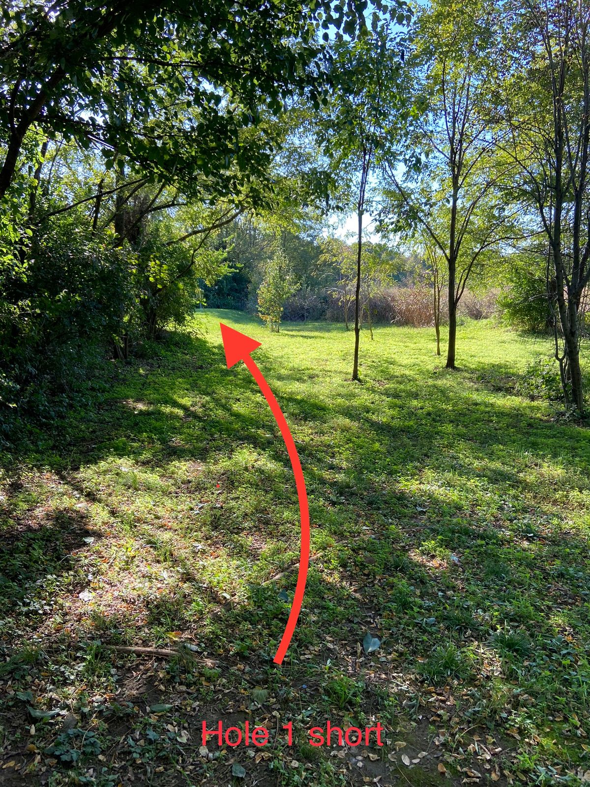 Hole 1 short