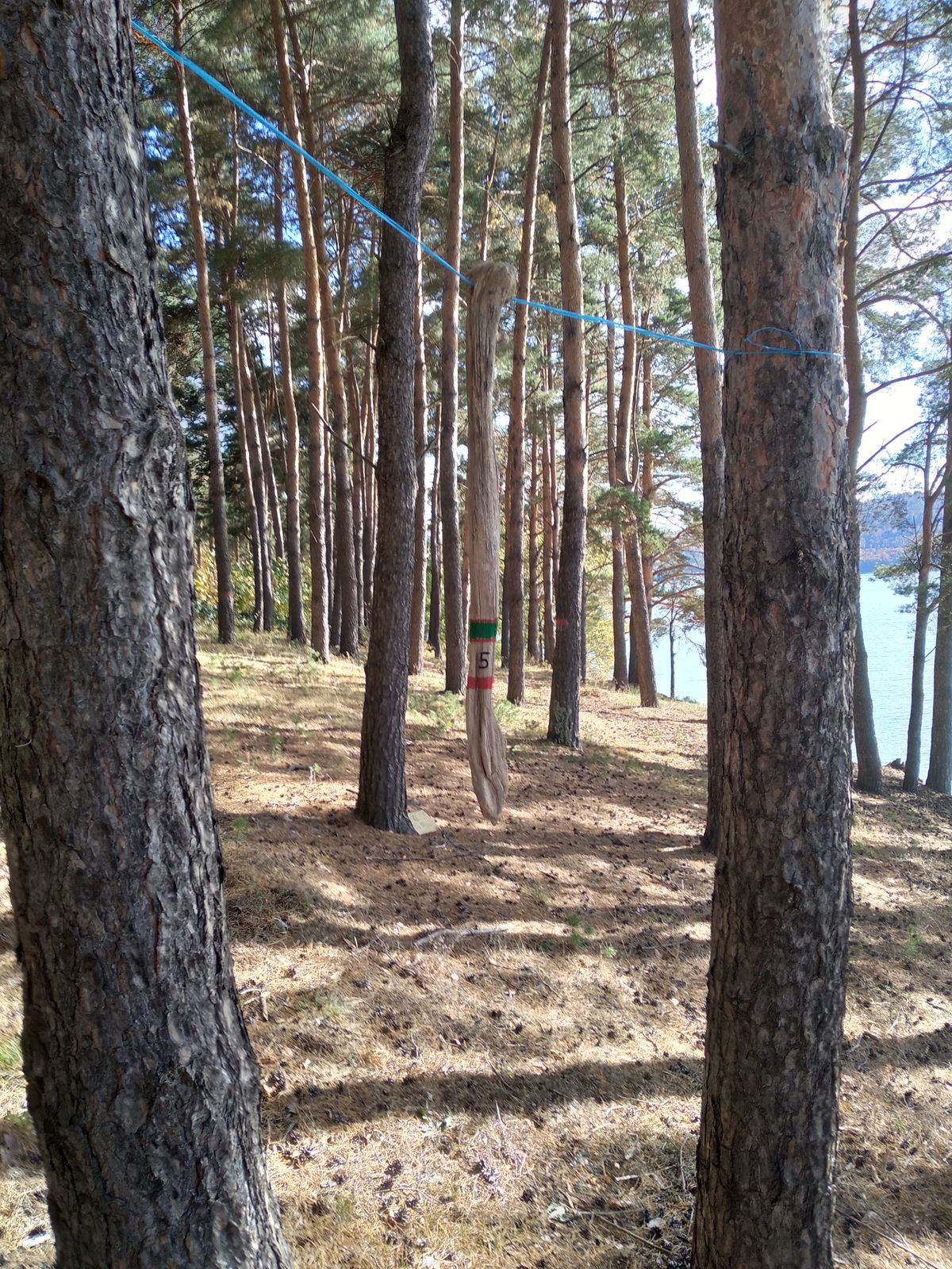 Hole 5 Tone Pole
