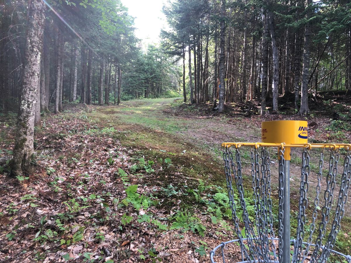 Hole #12 Basket