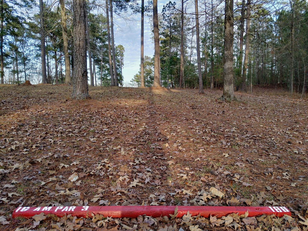 Hole 16 Amateur Tee